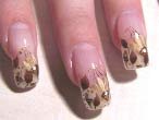 nail extensions with biogel